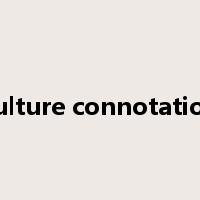 culture connotation是什么意思