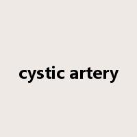 cystic artery是什么意思