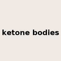 ketone bodies是什么意思