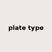 plate type是什么意思