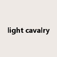 light cavalry是什么意思