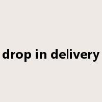 drop in delivery是什么意思