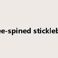 three-spined stickleback是什么意思