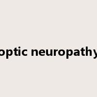 optic neuropathy是什么意思
