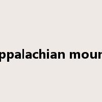 the appalachian mountains是什么意思