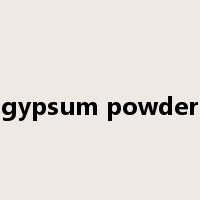 gypsum powder是什么意思