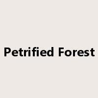 Petrified Forest是什么意思