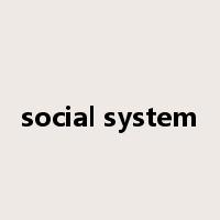 social system是什么意思