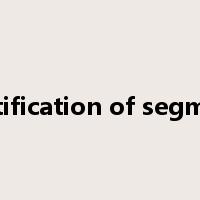 identification of segments是什么意思