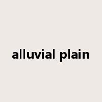 alluvial plain是什么意思