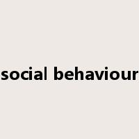 social behaviour是什么意思