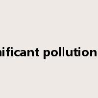 significant pollution risk是什么意思