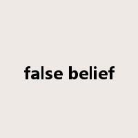 false belief是什么意思