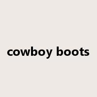 cowboy boots是什么意思
