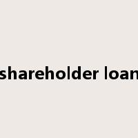 shareholder loan是什么意思