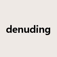 denuding是什么意思