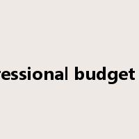 congressional budget office是什么意思
