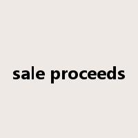 sale proceeds是什么意思