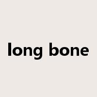 long bone是什么意思