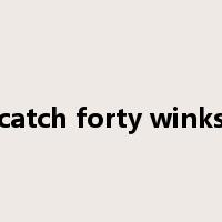 catch forty winks是什么意思
