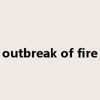 outbreak of fire是什么意思