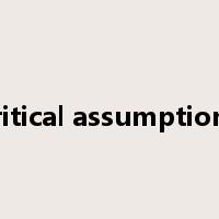 critical assumptions是什么意思