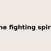 the fighting spirit是什么意思