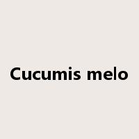 Cucumis melo是什么意思