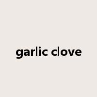 garlic clove是什么意思