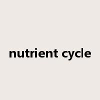 nutrient cycle是什么意思
