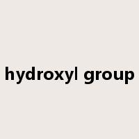 hydroxyl group是什么意思
