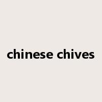 chinese chives是什么意思