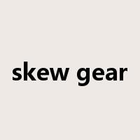 skew gear是什么意思