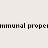 communal property是什么意思