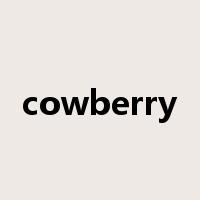 cowberry是什么意思
