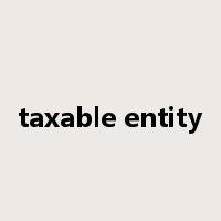 taxable entity是什么意思