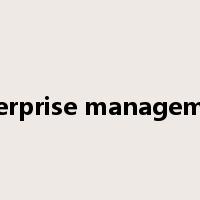 enterprise management是什么意思