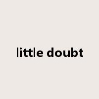 little doubt是什么意思