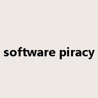 software piracy是什么意思
