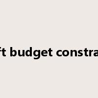 soft budget constraint是什么意思