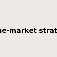 niche-market strategy是什么意思
