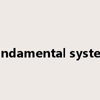 fundamental system是什么意思