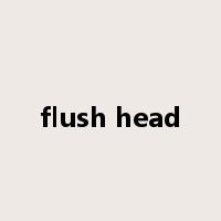 flush head是什么意思