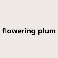 flowering plum是什么意思