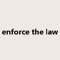 enforce the law是什么意思