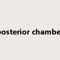 posterior chamber是什么意思