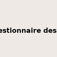 questionnaire design是什么意思