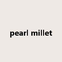 pearl millet是什么意思