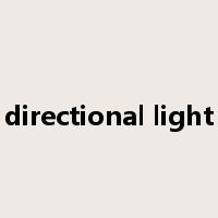 directional light是什么意思