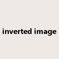 inverted image是什么意思